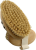Dry body brush short plant fiber bristles veganvery stiff Made in Germany Nessentials